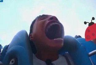 吃瓜大嘴表情包,趣味横生的网络文化现象