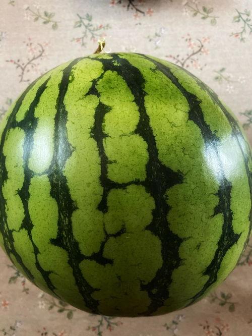 吃瓜是什么表演,一场别开生面的视觉盛宴