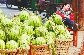 成都青阳吃瓜事件,一场网络热议的社区冲突揭秘