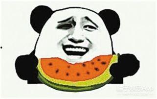 吃瓜群众王大哥,吃瓜群众王大哥的趣味生活点滴