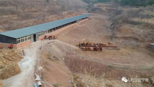 省委大院吃瓜,揭秘权力中心的“吃瓜”风云