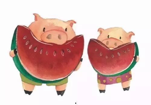 猪妈妈吃瓜,一场欢乐的田园盛宴