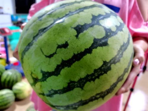 罗定朗塘吃瓜,探寻瓜果飘香的田园美食之旅