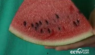 小妙招吃瓜,小妙招教你轻松吃瓜