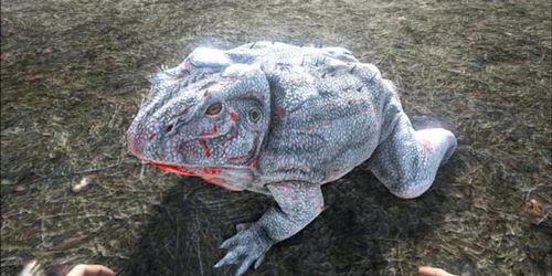 吃瓜驯服生物模组,探索生物模组中的神秘驯化之道