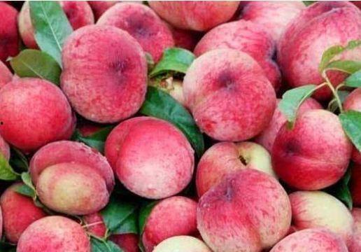 桃桃视频吃瓜,吃瓜群众的热门话题大追踪