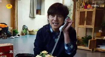 胡老师娜娜吃瓜,揭秘娱乐圈背后的瓜田秘事