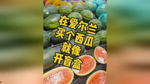 吃瓜 盲盒,趣味与惊喜并存的新潮流