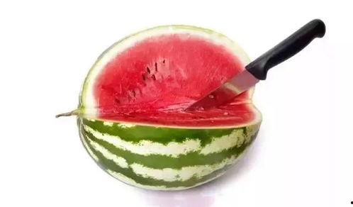 怎样吃瓜显高端,解锁吃瓜新境界