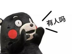 带你吃瓜法律题,法律视角下的热门事件解析