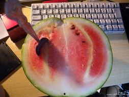 瓜哥吃啥东西,探寻各地特色佳肴