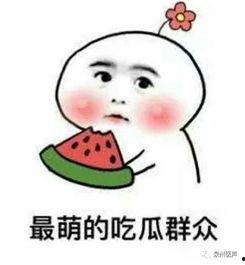 大院媳妇吃瓜日常 小说