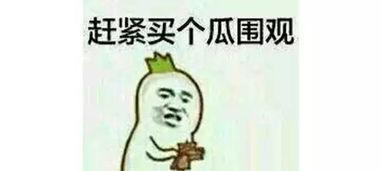 718吃瓜打不开,探寻网络热点背后的真相