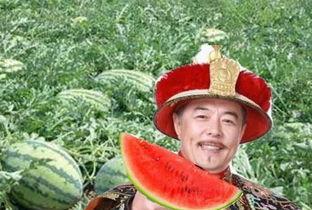 皇帝吃瓜要杀瓜农,皇帝吃瓜背后的残酷真相