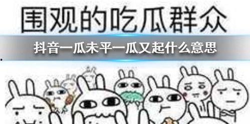 718吃瓜抖音,揭秘热门话题背后的真相与笑料