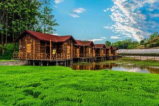 小木屋吃瓜,揭秘乡村生活的甜蜜滋味