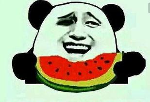 吃瓜蒙主辽宁,吃瓜群众眼中的蒙主风采